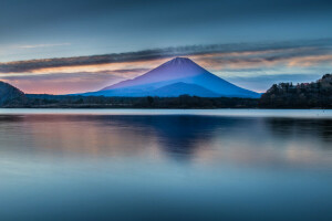 富士山, 日本, 湖, 風景, 山, 表面, 空, 木