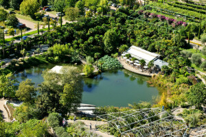 庭園, イタリア, ヤシの木, パーク, 池, 上からの眺め, トラウトマンスドルフ城庭園, 木