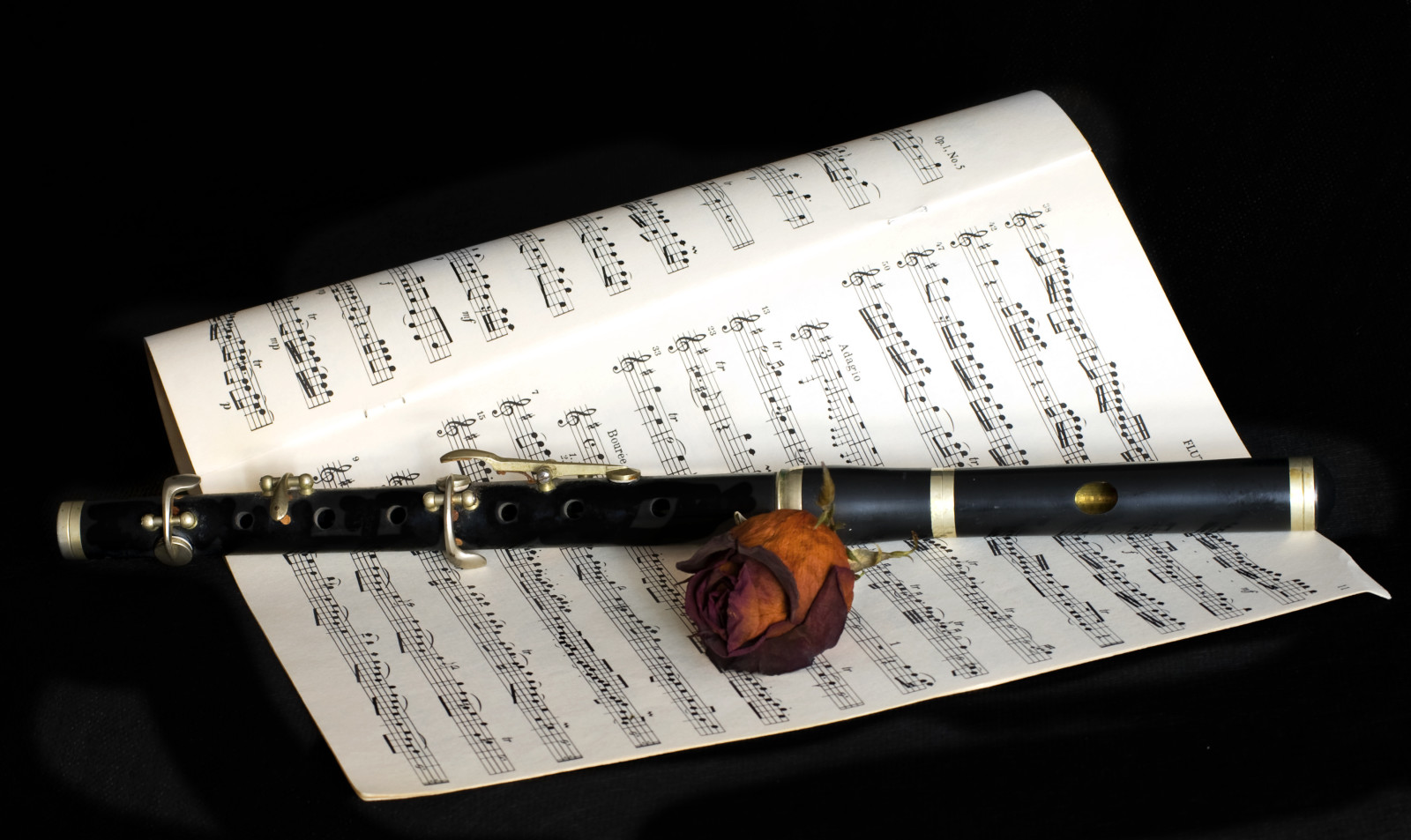 Âm nhạc, bông hoa, ghi chú, ống sáo