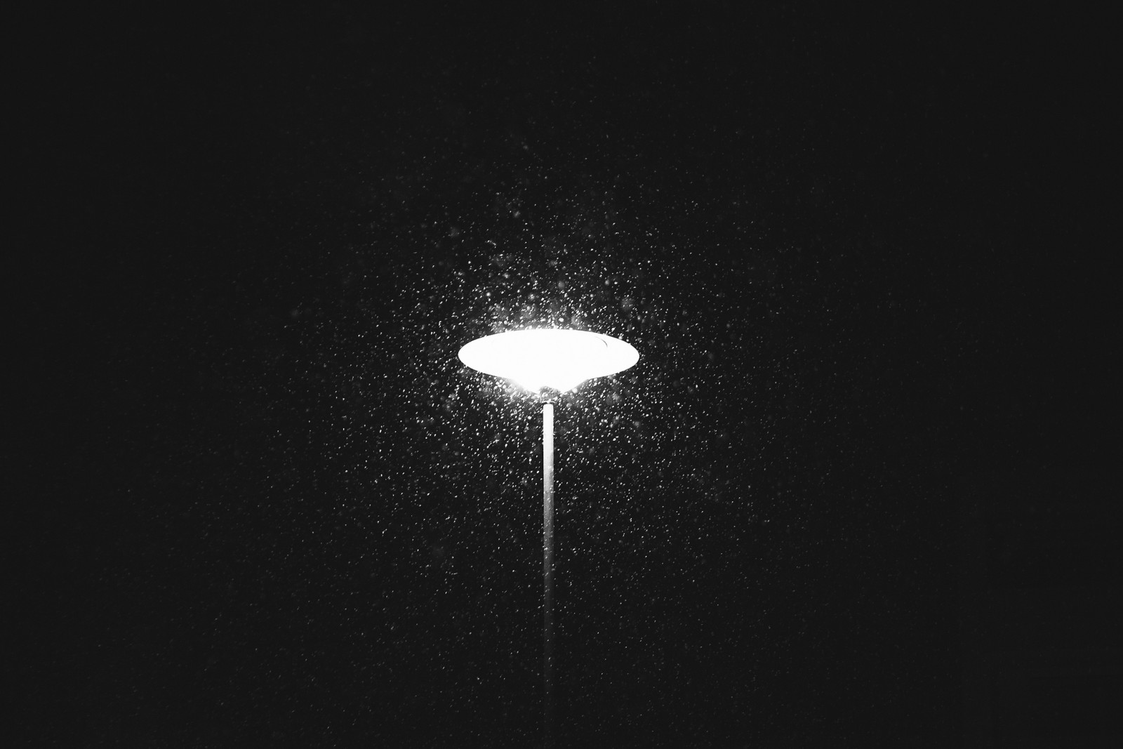 cahaya, musim dingin, turun salju, tiang lampu di jalan