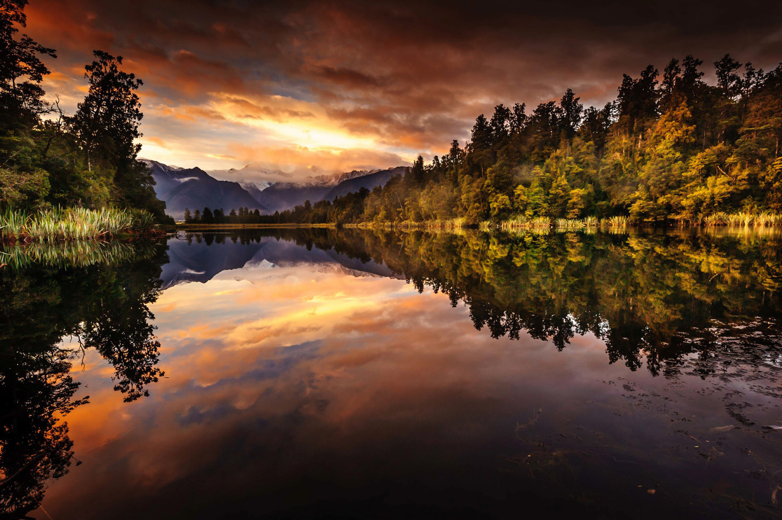 rừng, hồ, phản ánh, buổi sáng, núi, New Zealand, Hồ Matheson, Đảo Nam