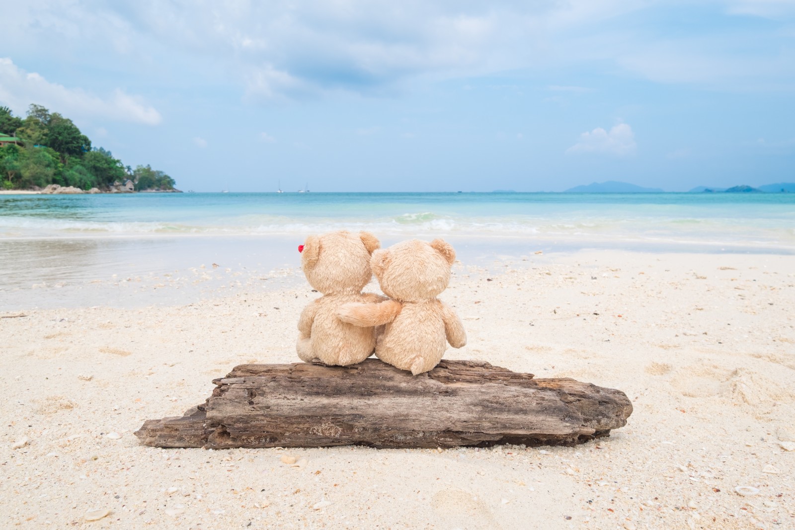 爱, 浪漫, 海滩, 海, 熊, 对, 可爱, 二