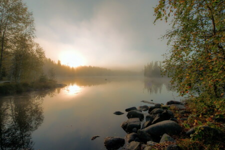 가을, 안개, 호수, 아침