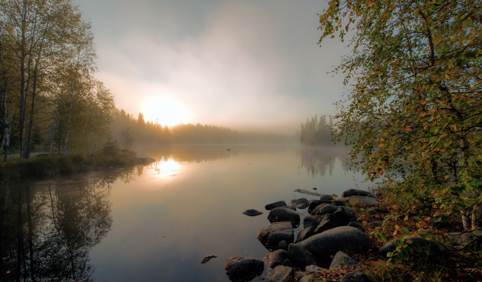 가을, 호수, 아침, 안개
