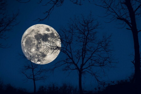 밤, 달, 하늘