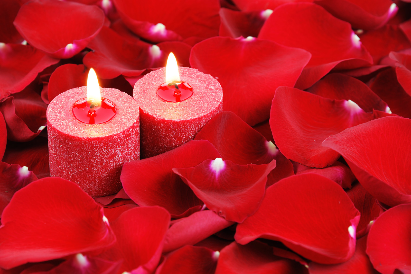 爱, 浪漫, 情人节, 玫瑰花, 心, 蜡烛, 花瓣