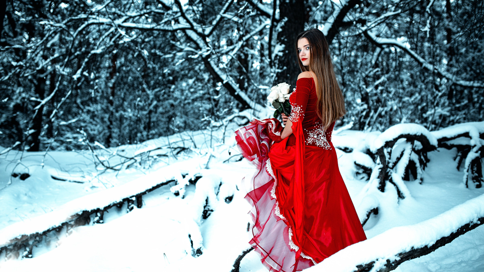 雪, 森林, 女孩, 冬季, 玫瑰花, 花束, 连衣裙, 红色的