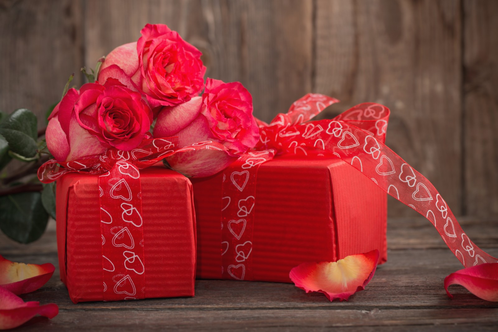 cinta, romantis, hari Valentine, hadiah, mawar, jantung