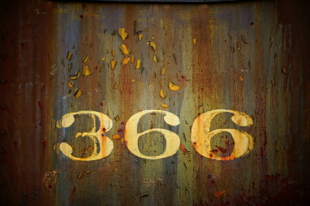 366, 배경, 벽
