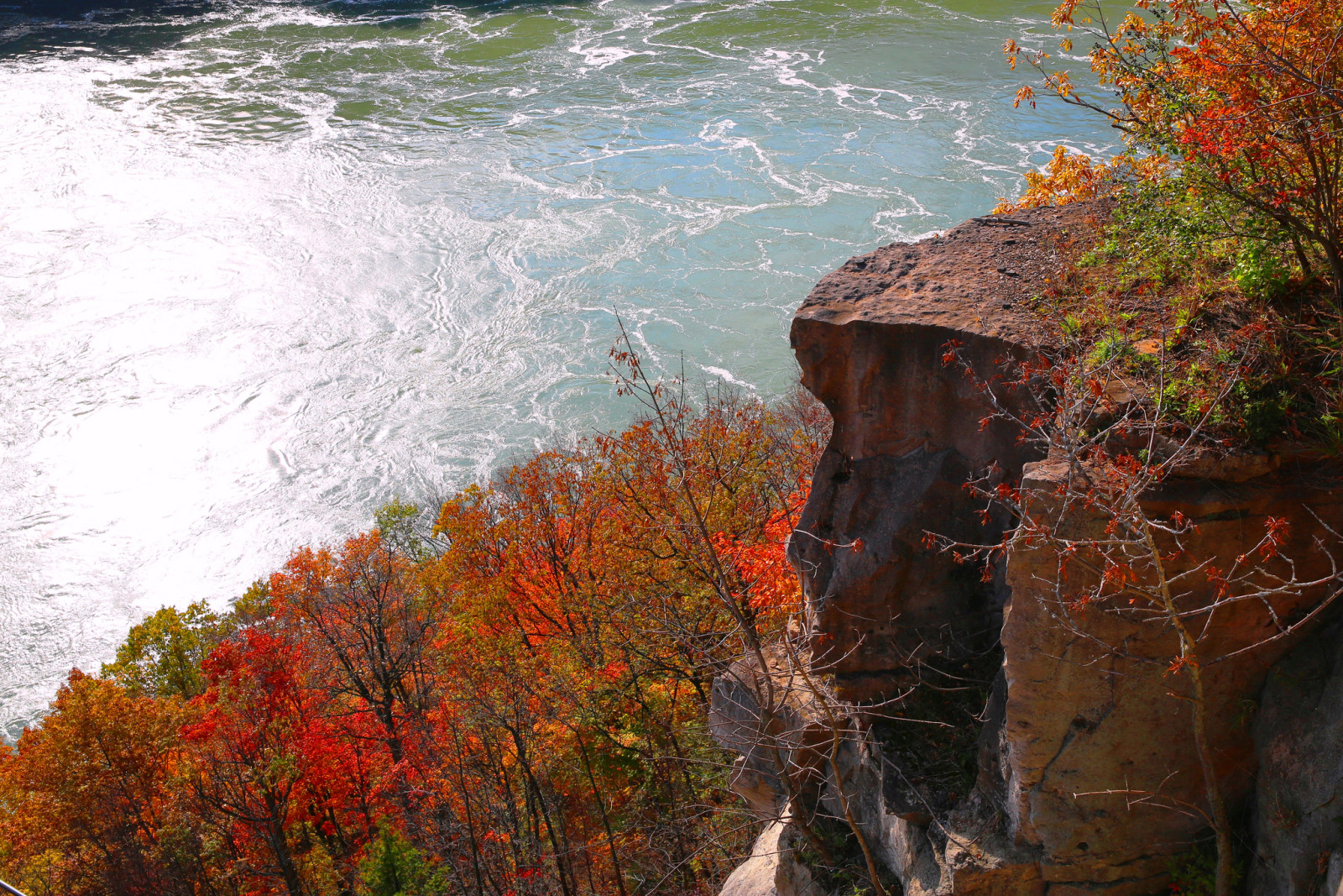 秋季, 河, 树木, 加拿大, 岩石, 尼亚加拉