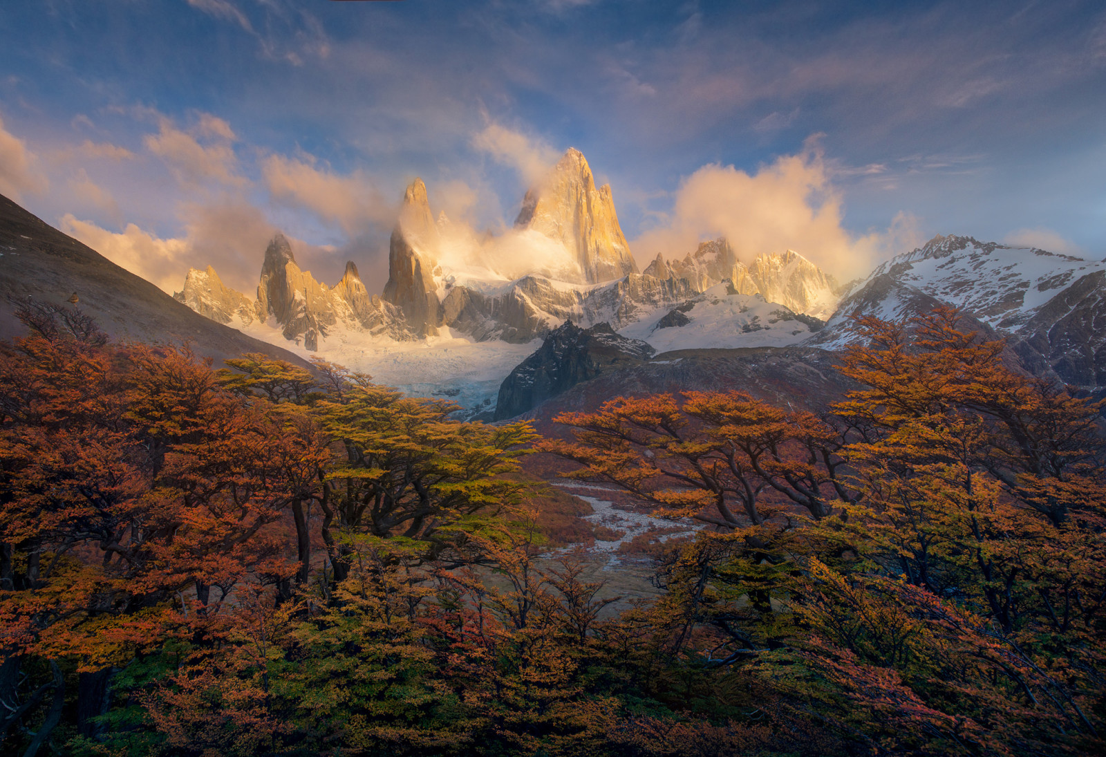 가을, 나무, 아침, 산, 페인트, 파타고니아, 봉우리, 안데스 산맥