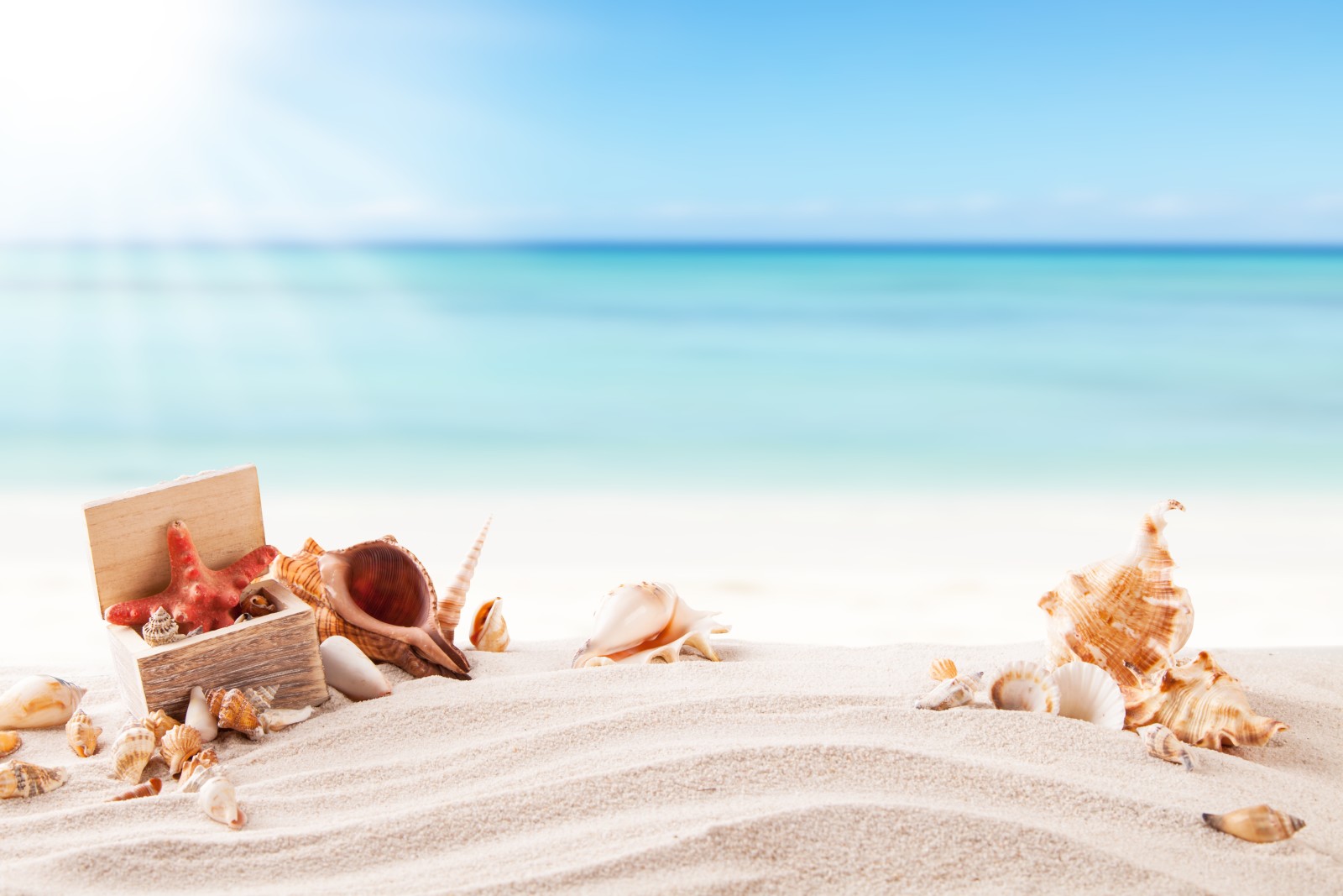 mùa hè, bờ biển, biển, mặt trời, cát, vỏ, kỳ nghỉ, sao biển