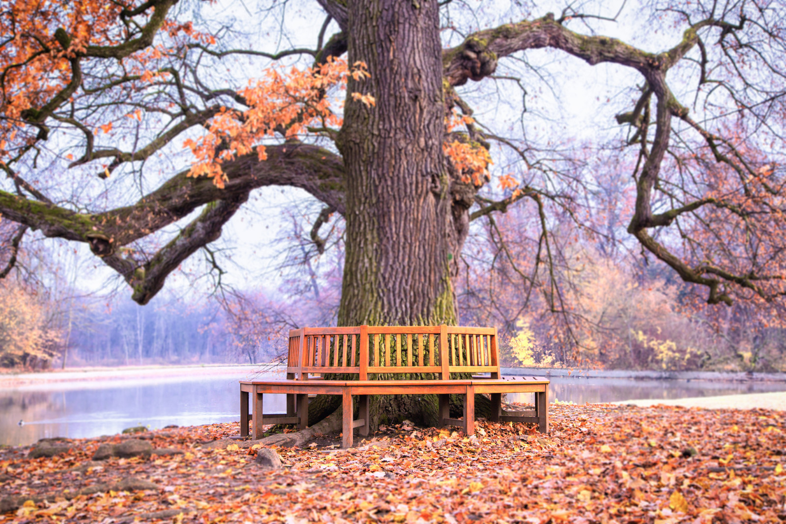 mùa thu, Thiên nhiên, công viên, Băng ghế