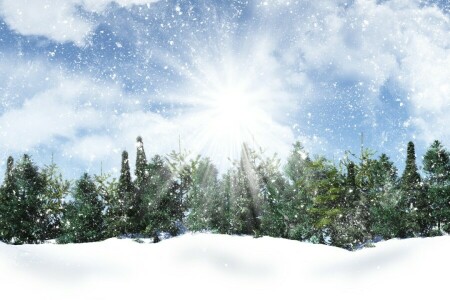 雲, 光線, 雪, 雪片, 空, 雪, 太陽, 木