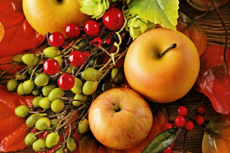 りんご, 秋, ベリー類, フルーツ, 収穫, 葉, 静物