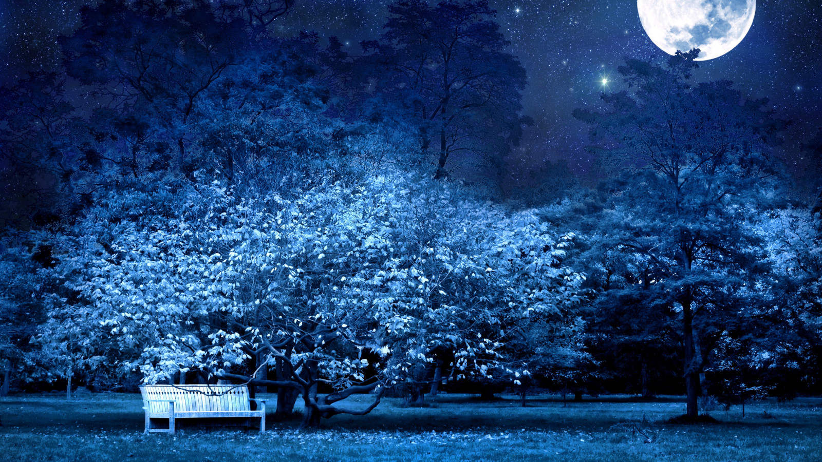 蓝色, 晚, 月亮, 板凳