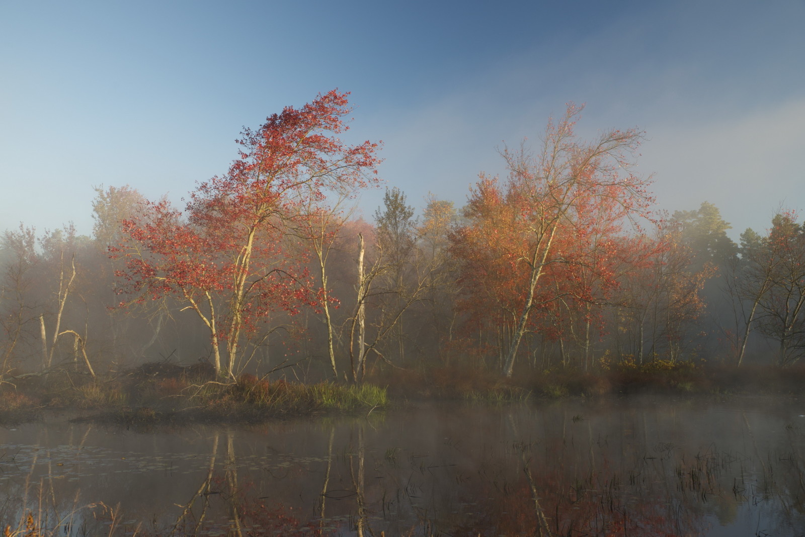 秋季, 湖, 多雾路段