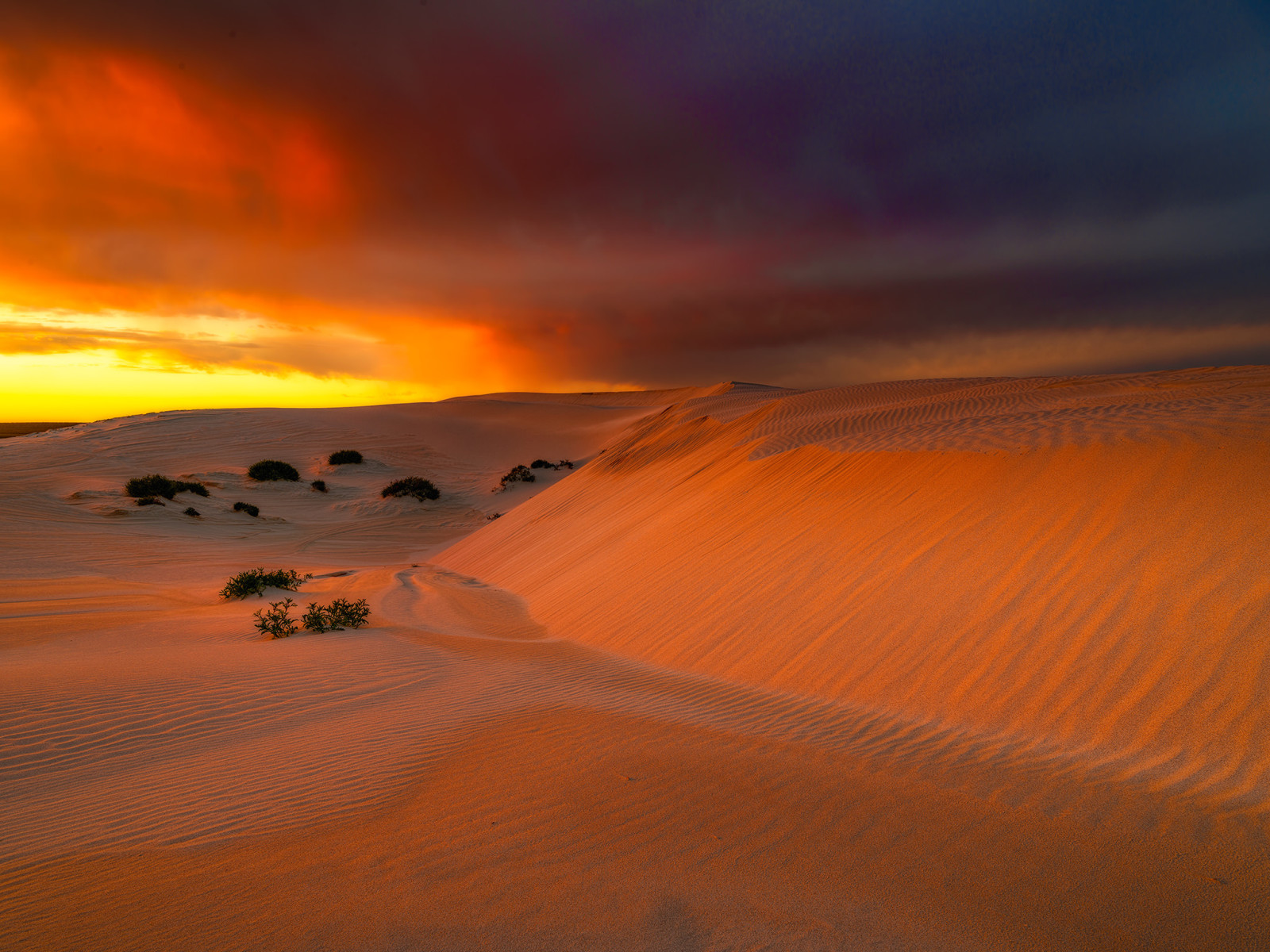 bầu trời, những đám mây, Sa mạc, Châu Úc, phát sáng, cát, Bạch đàn